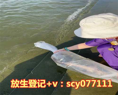 南京人放生乌龟的地方，南京市民宗局领导赴市佛协团拜