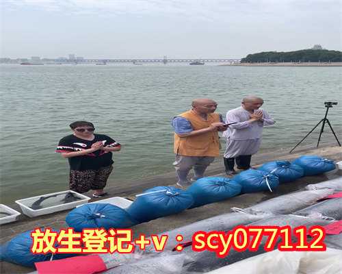 东莞放生诗，东莞冬天放生甲鱼能活吗，东莞宣化上人放生开示