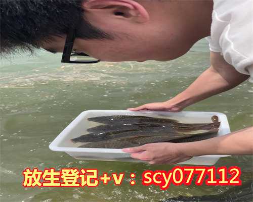 东莞公园放生锦鲤,东莞哪里能放生甲鱼,东莞放生鱼苗在哪里