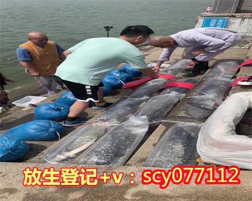 上海放生,上海放生河蚌在哪里,上海哪里适合放生王八