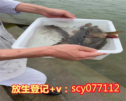 河北放生,河北哪里可以放生蛇的,河北2月2能放生吗