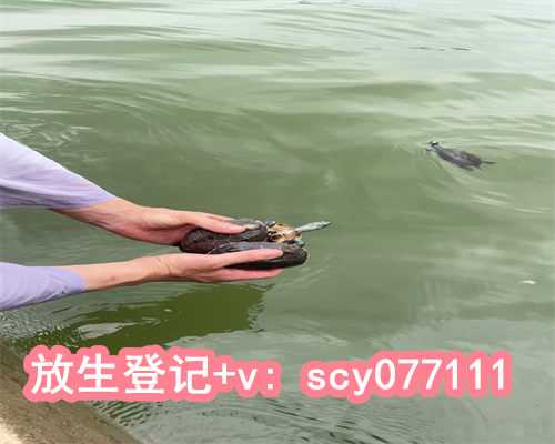 香港宝宝亲了的鲤鱼要放生吗，宝宝亲了的鲤